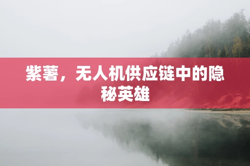 紫薯，无人机供应链中的隐秘英雄