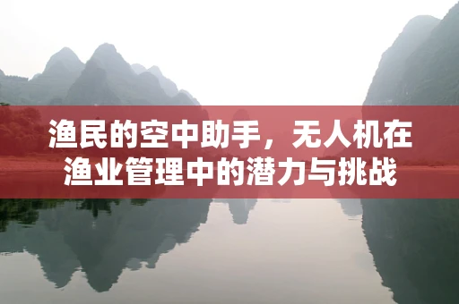 渔民的空中助手，无人机在渔业管理中的潜力与挑战