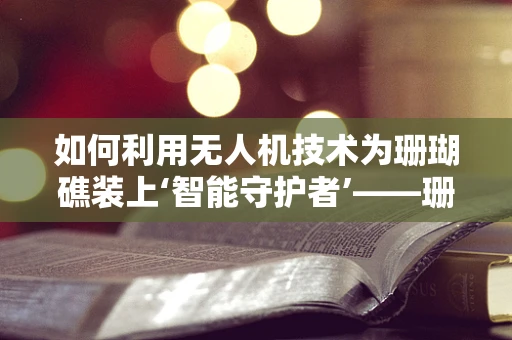 如何利用无人机技术为珊瑚礁装上‘智能守护者’——珊瑚饰的未来之路？