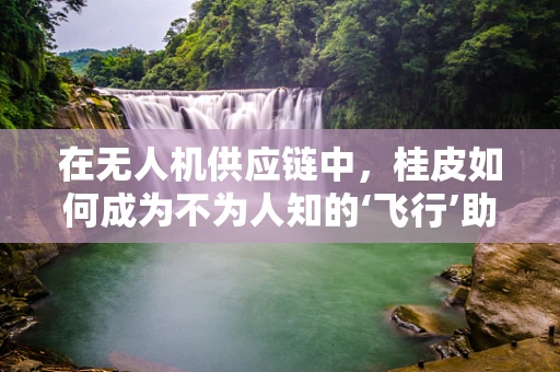 在无人机供应链中，桂皮如何成为不为人知的‘飞行’助力者？