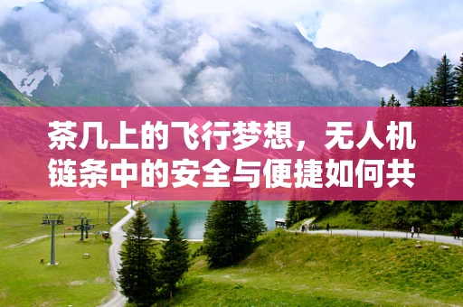 茶几上的飞行梦想，无人机链条中的安全与便捷如何共舞？
