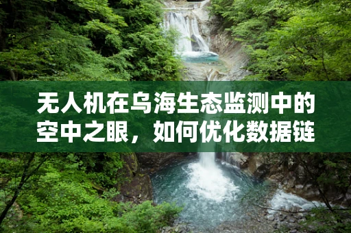 无人机在乌海生态监测中的空中之眼，如何优化数据链传输效率？