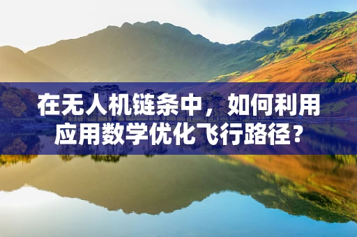 在无人机链条中，如何利用应用数学优化飞行路径？