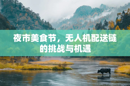 夜市美食节，无人机配送链的挑战与机遇