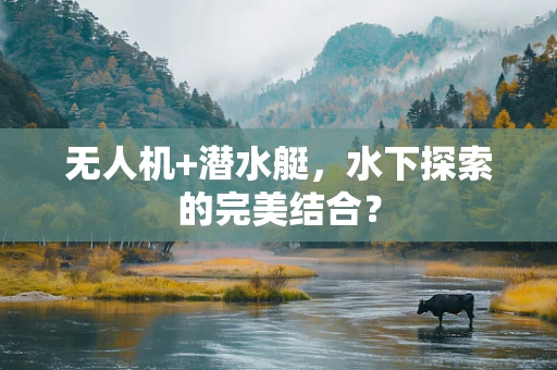 无人机+潜水艇，水下探索的完美结合？