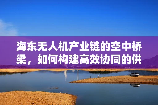 海东无人机产业链的空中桥梁，如何构建高效协同的供应链？