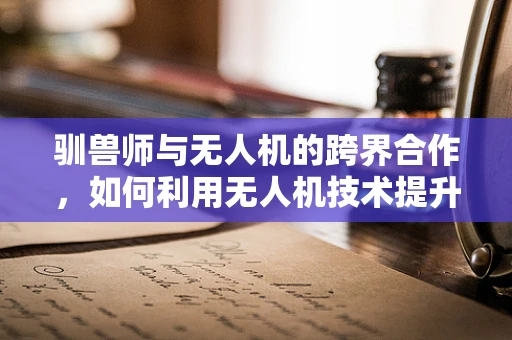 驯兽师与无人机的跨界合作，如何利用无人机技术提升动物训练效率？