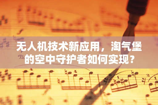 无人机技术新应用，淘气堡的空中守护者如何实现？