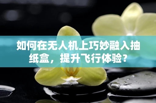 如何在无人机上巧妙融入抽纸盒，提升飞行体验？