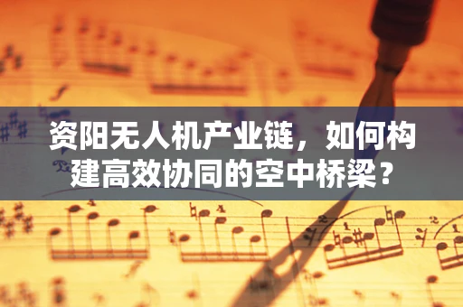 资阳无人机产业链，如何构建高效协同的空中桥梁？