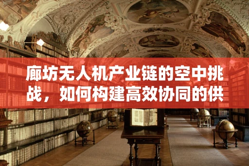 廊坊无人机产业链的空中挑战，如何构建高效协同的供应链？