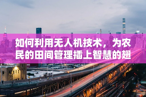 如何利用无人机技术，为农民的田间管理插上智慧的翅膀？