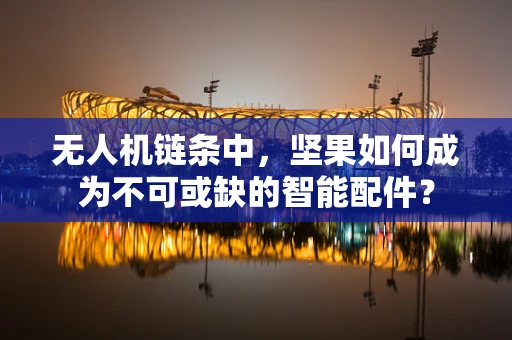 无人机链条中，坚果如何成为不可或缺的智能配件？