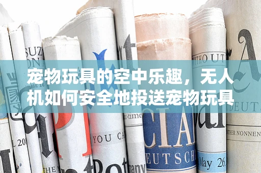 宠物玩具的空中乐趣，无人机如何安全地投送宠物玩具？
