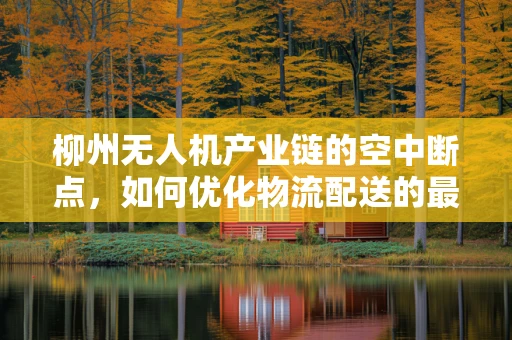 柳州无人机产业链的空中断点，如何优化物流配送的最后一公里？