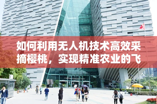 如何利用无人机技术高效采摘樱桃，实现精准农业的飞跃？