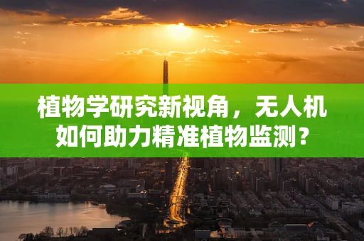 植物学研究新视角，无人机如何助力精准植物监测？