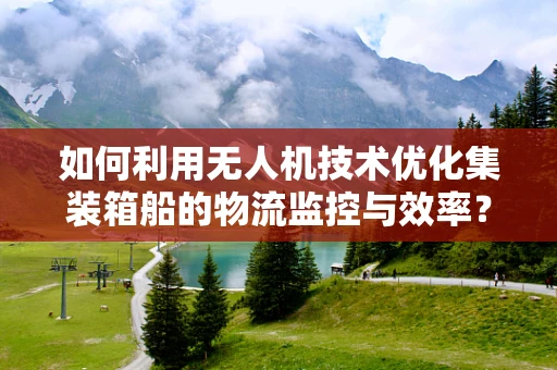 如何利用无人机技术优化集装箱船的物流监控与效率？