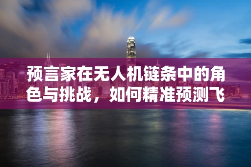 预言家在无人机链条中的角色与挑战，如何精准预测飞行环境变化？