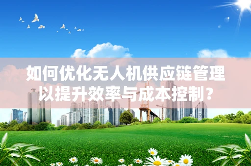 如何优化无人机供应链管理以提升效率与成本控制？