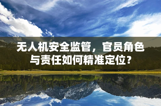 无人机安全监管，官员角色与责任如何精准定位？