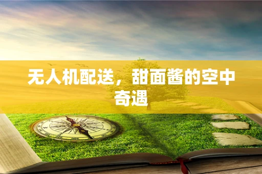 无人机配送，甜面酱的空中奇遇