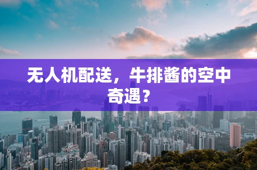 无人机配送，牛排酱的空中奇遇？