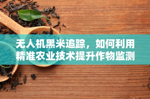 无人机黑米追踪，如何利用精准农业技术提升作物监测效率？
