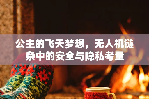 公主的飞天梦想，无人机链条中的安全与隐私考量