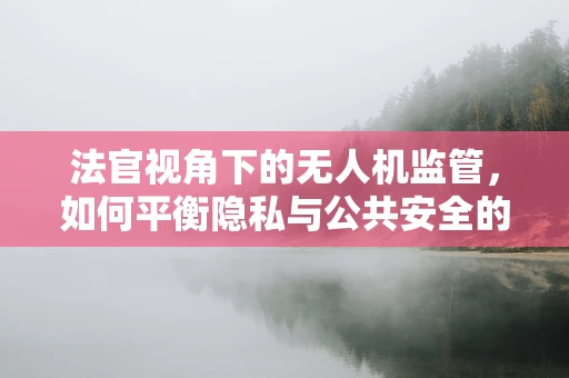 法官视角下的无人机监管，如何平衡隐私与公共安全的界限？