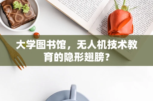 大学图书馆，无人机技术教育的隐形翅膀？