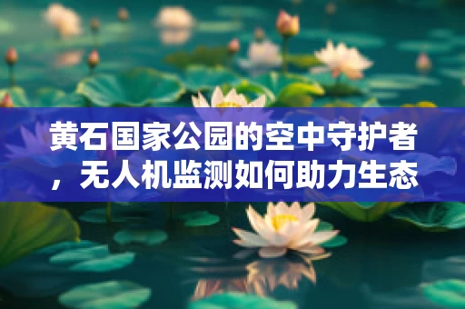 黄石国家公园的空中守护者，无人机监测如何助力生态保护？