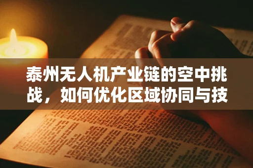 泰州无人机产业链的空中挑战，如何优化区域协同与技术创新？