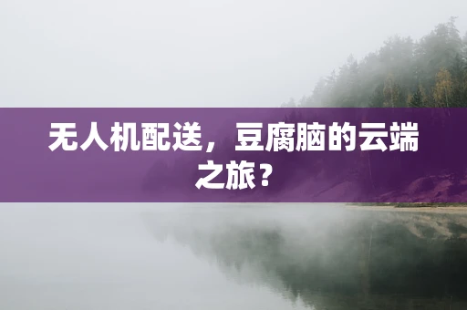 无人机配送，豆腐脑的云端之旅？