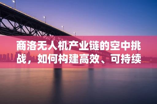 商洛无人机产业链的空中挑战，如何构建高效、可持续的无人机生态系统？