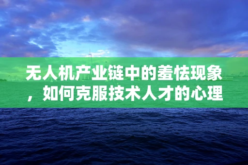 无人机产业链中的羞怯现象，如何克服技术人才的心理障碍？