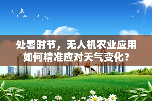 处暑时节，无人机农业应用如何精准应对天气变化？
