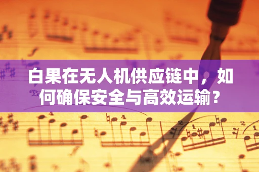 白果在无人机供应链中，如何确保安全与高效运输？