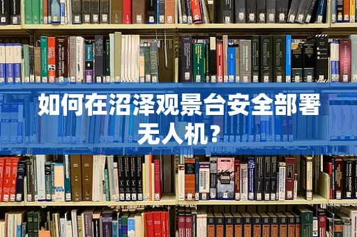 如何在沼泽观景台安全部署无人机？