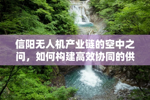 信阳无人机产业链的空中之问，如何构建高效协同的供应链生态？
