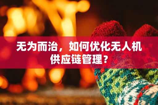 无为而治，如何优化无人机供应链管理？