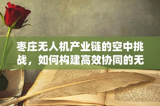 枣庄无人机产业链的空中挑战，如何构建高效协同的无人机生态系统？