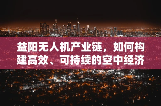 益阳无人机产业链，如何构建高效、可持续的空中经济？