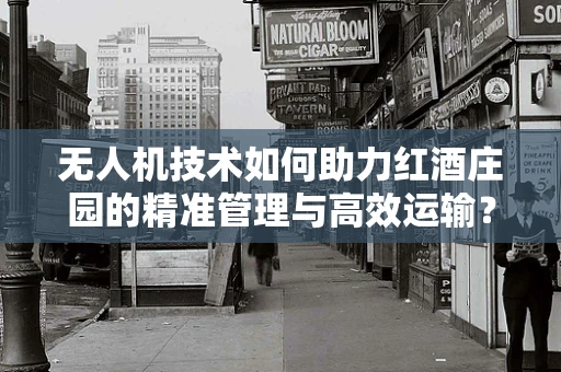 无人机技术如何助力红酒庄园的精准管理与高效运输？