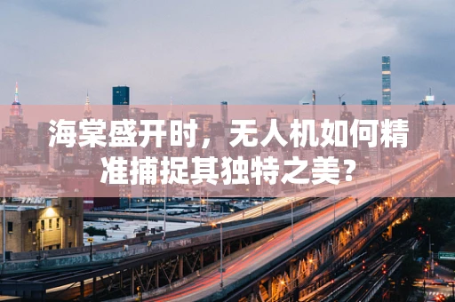 海棠盛开时，无人机如何精准捕捉其独特之美？