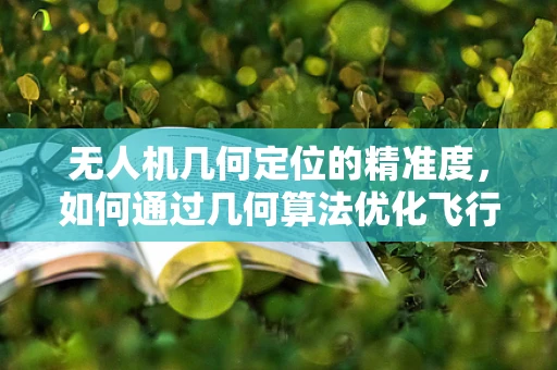 无人机几何定位的精准度，如何通过几何算法优化飞行路径？