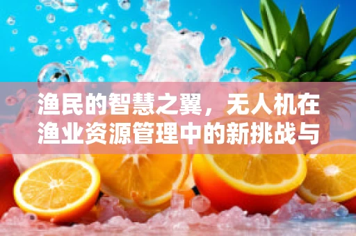 渔民的智慧之翼，无人机在渔业资源管理中的新挑战与机遇？
