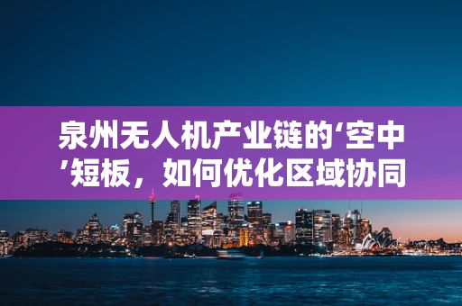 泉州无人机产业链的‘空中’短板，如何优化区域协同与技术创新？