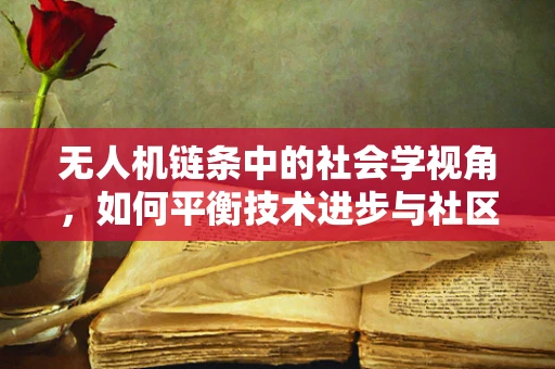 无人机链条中的社会学视角，如何平衡技术进步与社区参与？