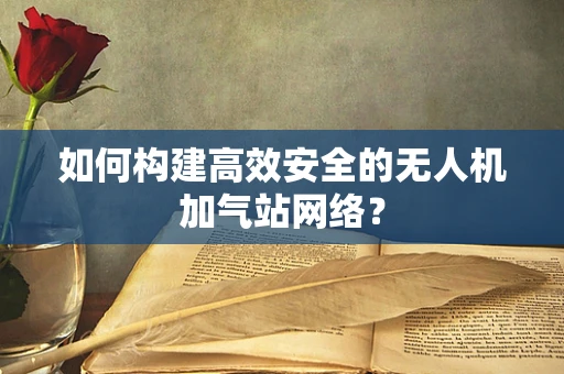 如何构建高效安全的无人机加气站网络？